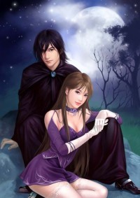 (綜漫同人)最強的老婆是魔法少女